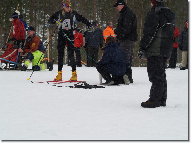 Nästa bild